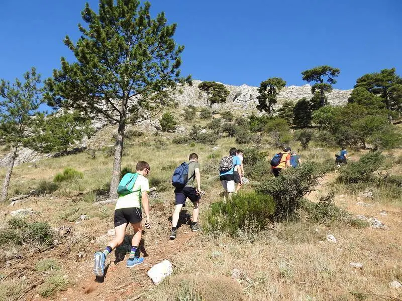 El grupo de Madrigueras