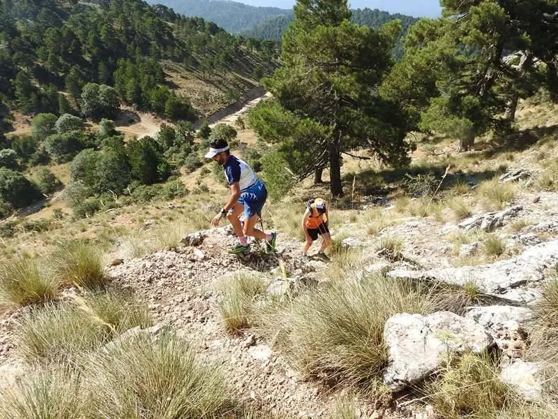 Nos adelanta el corredor de monta&ntilde;a