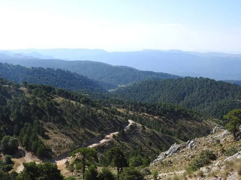 La pista