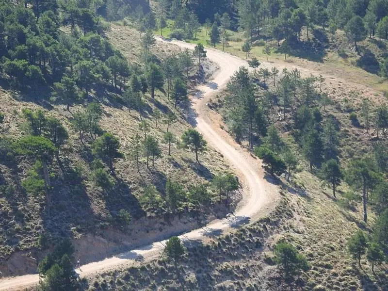 Vuelta a la pista