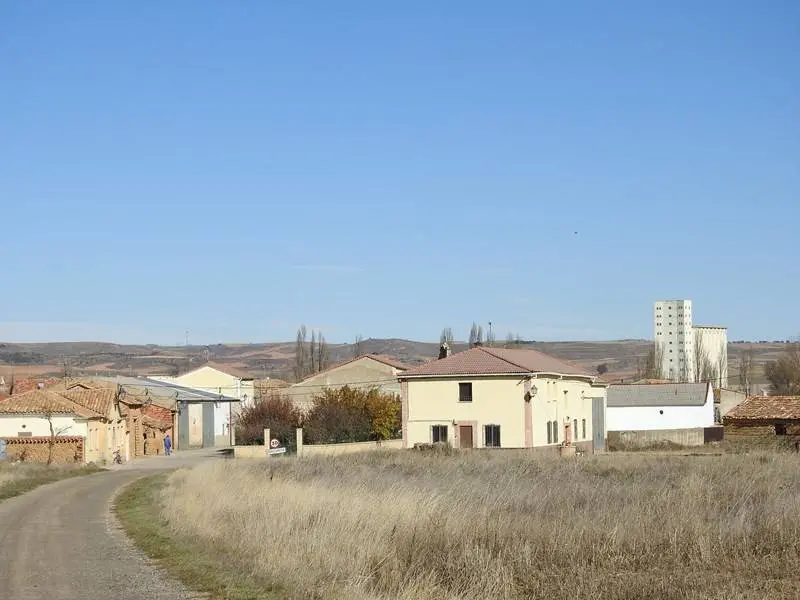 Coscurita