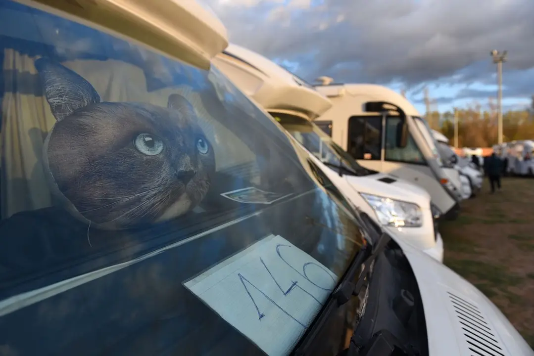 Enamorados de Noruega en Almaz&aacute;n, encuentro de autocaravanas (4)