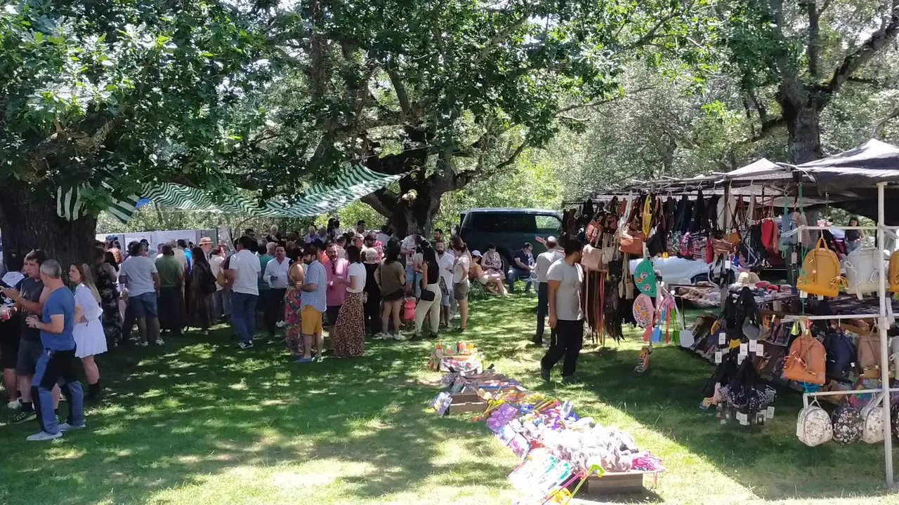 Romer&iacute;a de Santos Nuevos (4)