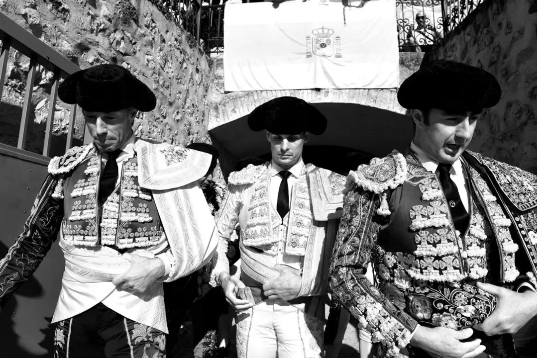 Toros en El Burgo de Osma. Fotos: Jorge Sanz