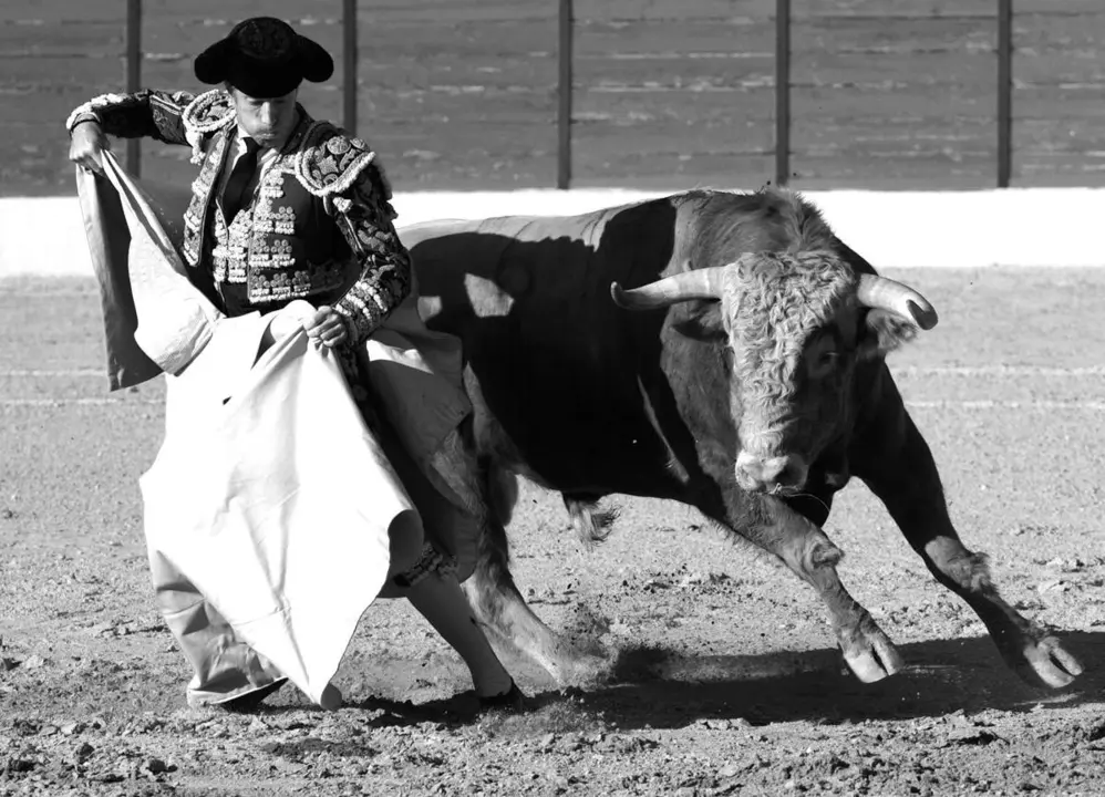 TorosBurgoDeOsma2023_Jorge_Sanz (27)