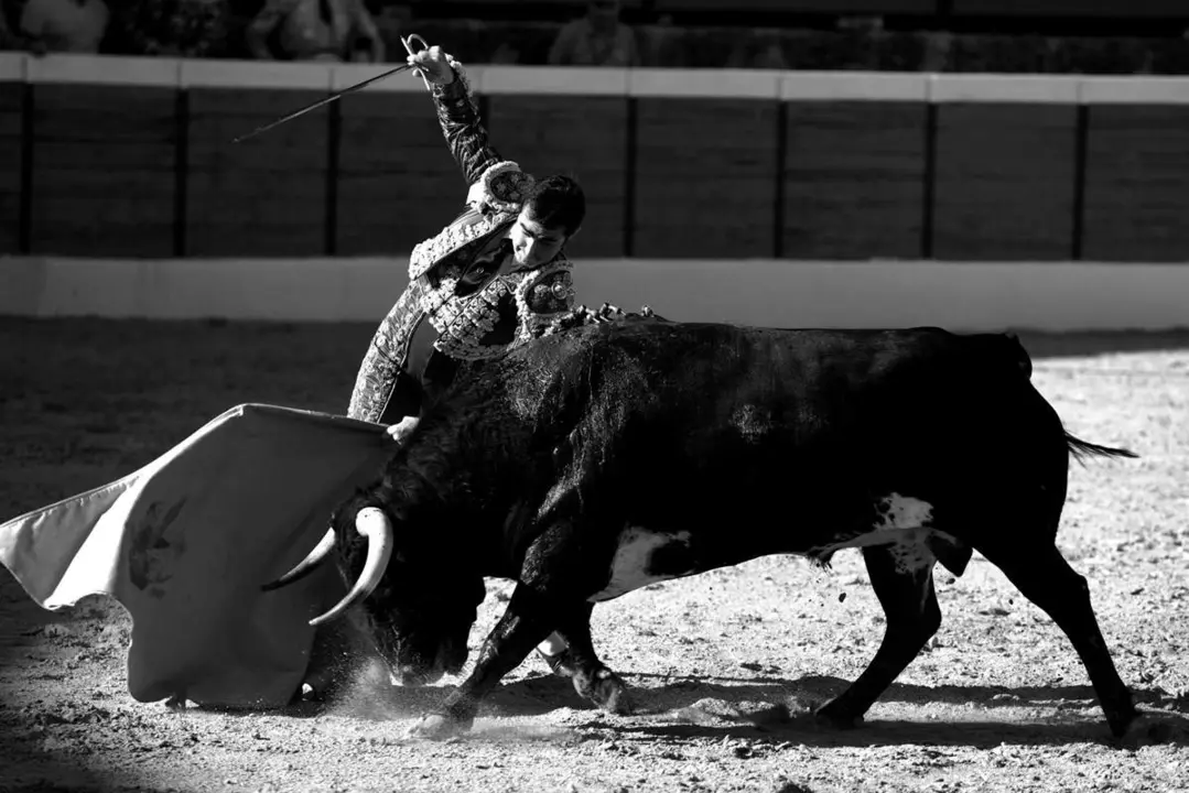 TorosBurgoDeOsma2023_Jorge_Sanz (29)