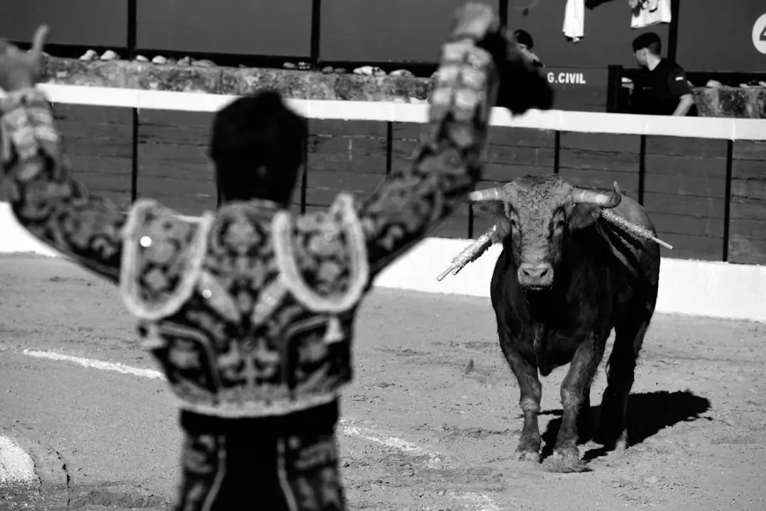TorosBurgoDeOsma2023_Jorge_Sanz (34)