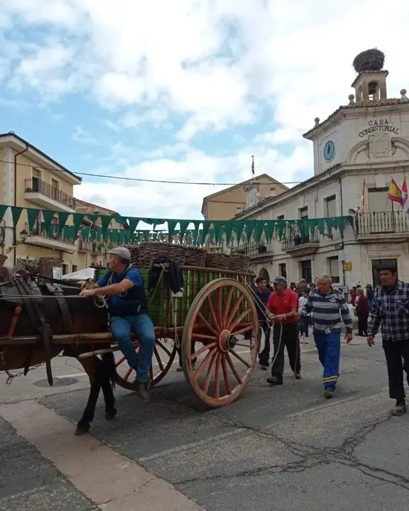 Jornadas de la vendimia Langa de Duero01