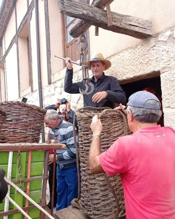 Jornadas de la vendimia Langa de Duero04
