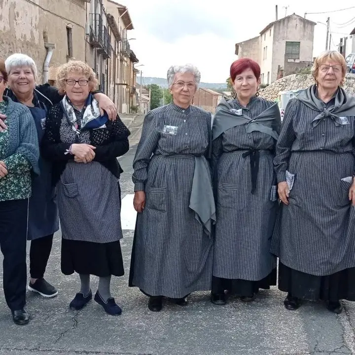 Jornadas de la vendimia Langa de Duero10