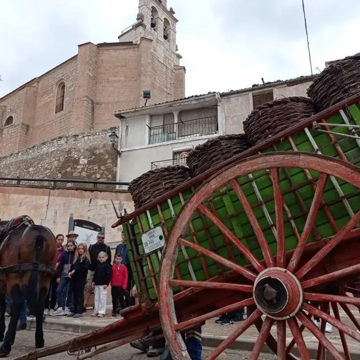 Jornadas de la vendimia Langa de Duero14