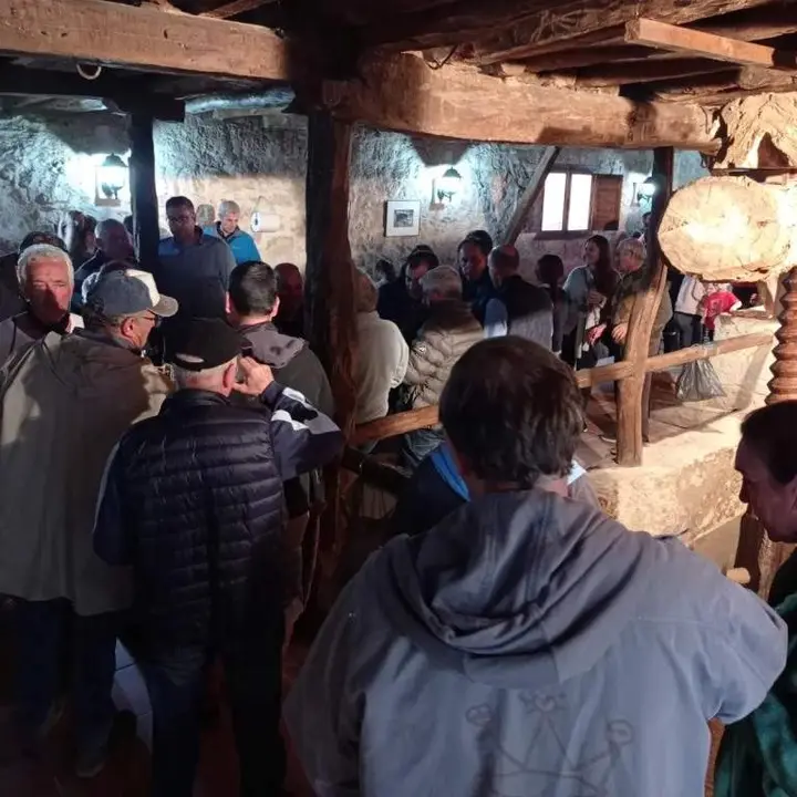 Jornadas de la vendimia Langa de Duero17