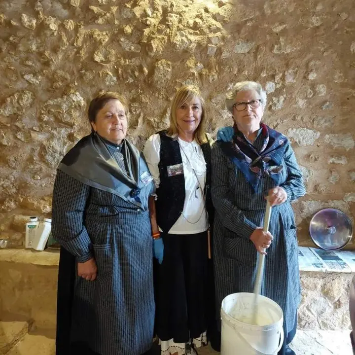 Jornadas de la vendimia Langa de Duero21