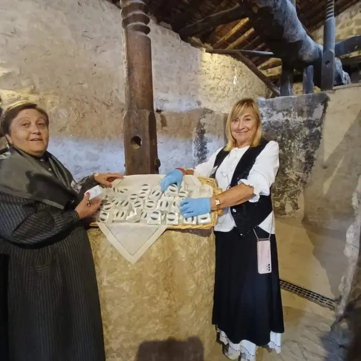 Jornadas de la vendimia Langa de Duero30