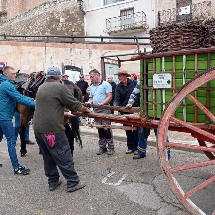Jornadas de la vendimia Langa de Duero29