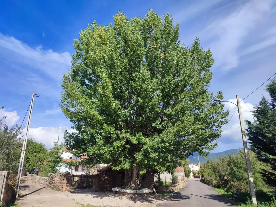 Villar de Ala