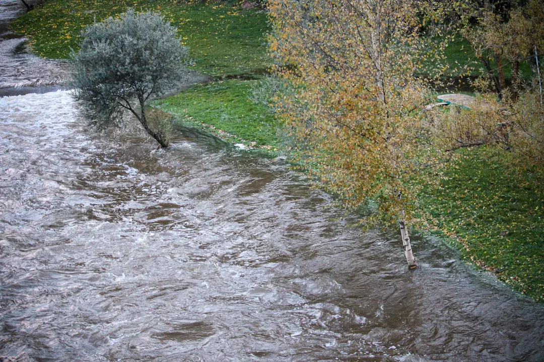 R&iacute;o Duero por Molinos de Duero (4)