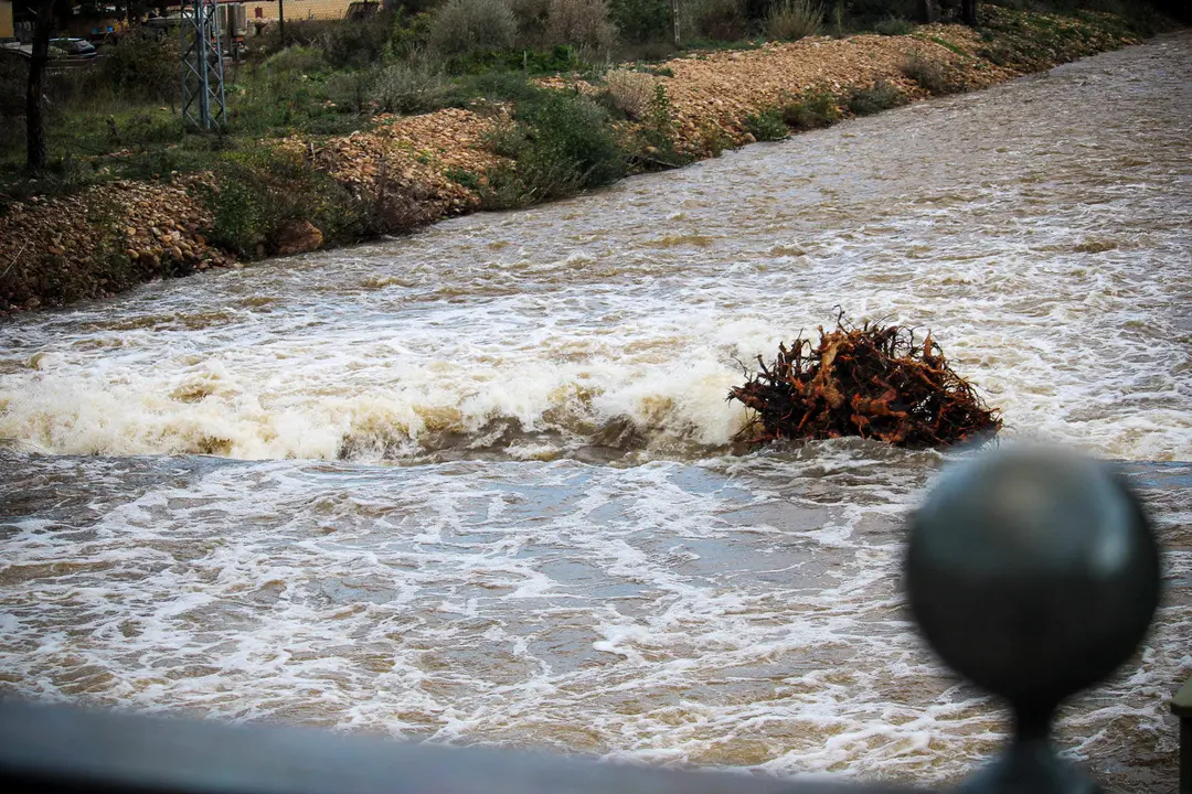 R&iacute;o Revinuesa en Vinuesa (1)