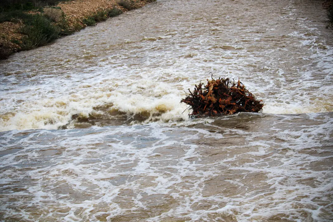 R&iacute;o Revinuesa en Vinuesa (2)