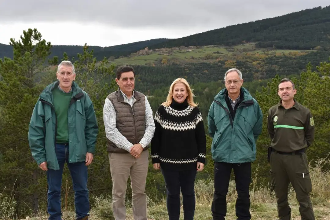 Pista forestal a Villarijo por Buimanco