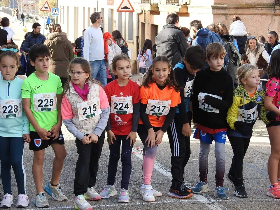 Cerco a Numancia (18)