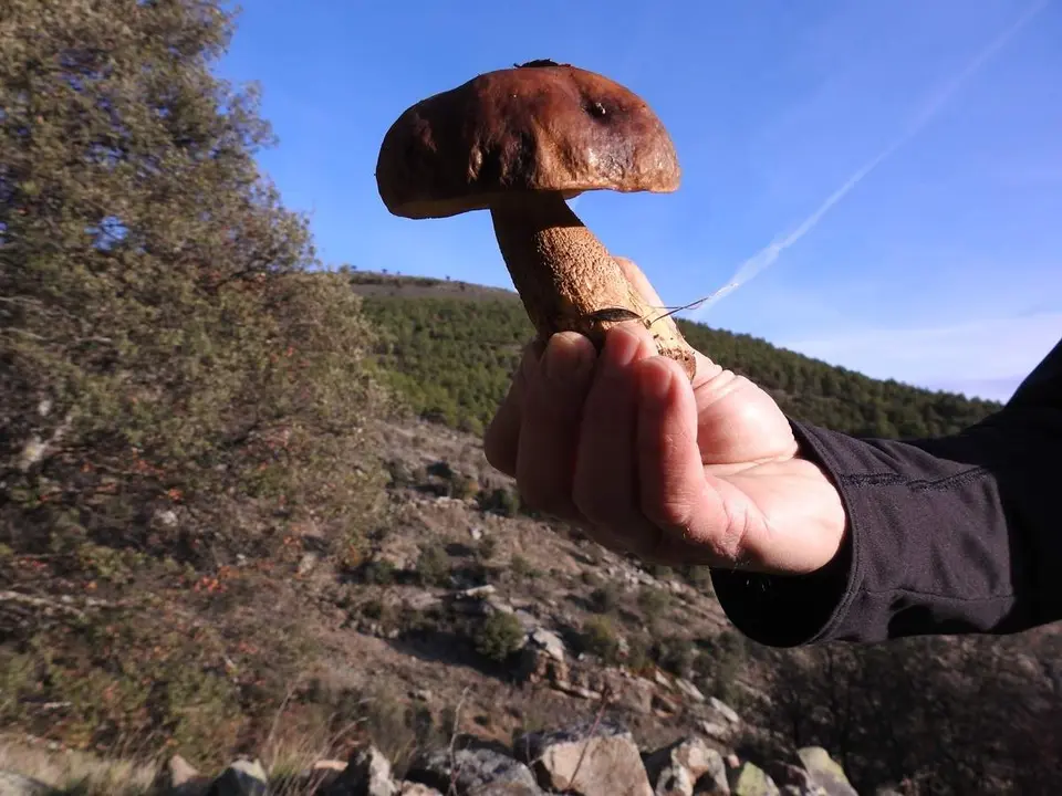 Excursi&oacute;n Yanguas-Ler&iacute;a-La Vega (13)
