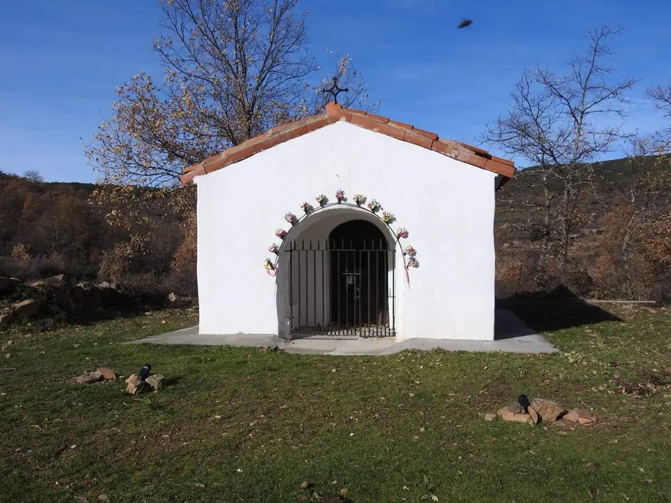 Excursi&oacute;n Yanguas-Ler&iacute;a-La Vega (39)