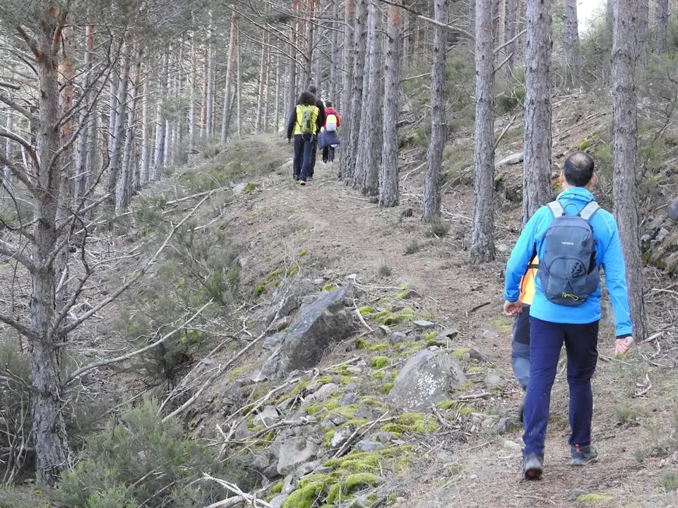 Excursi&oacute;n Yanguas-Ler&iacute;a-La Vega (42)
