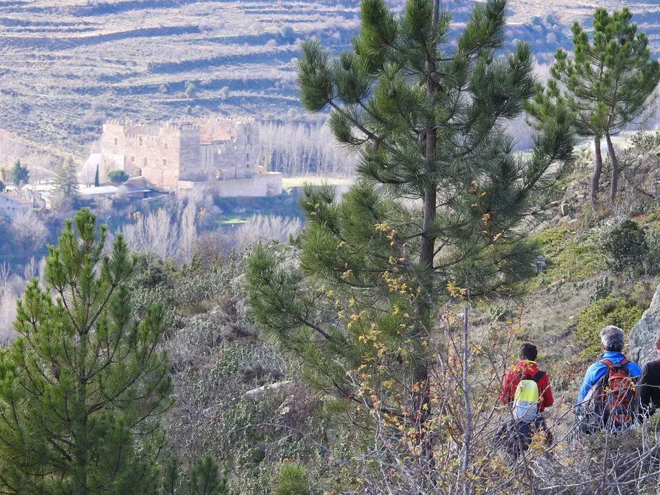 Excursi&oacute;n Yanguas-Ler&iacute;a-La Vega (44)