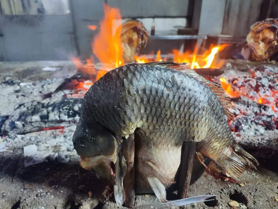 Kurdist&aacute;n iraqu&iacute; (18)