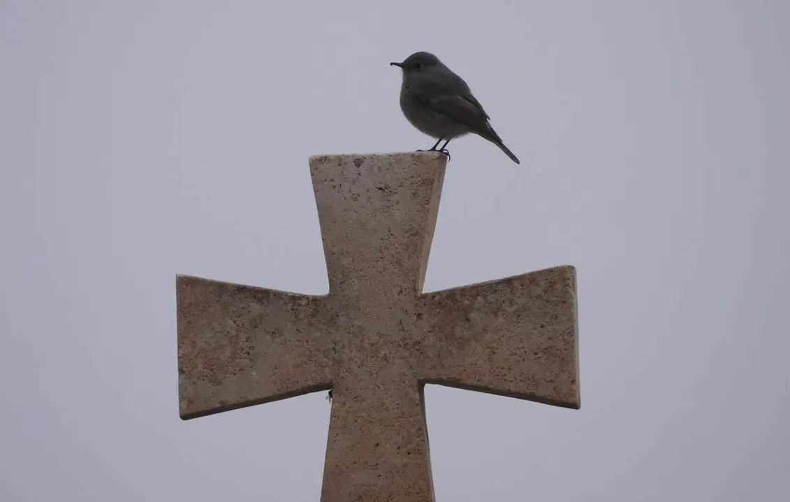Kurdist&aacute;n iraqu&iacute; (33)