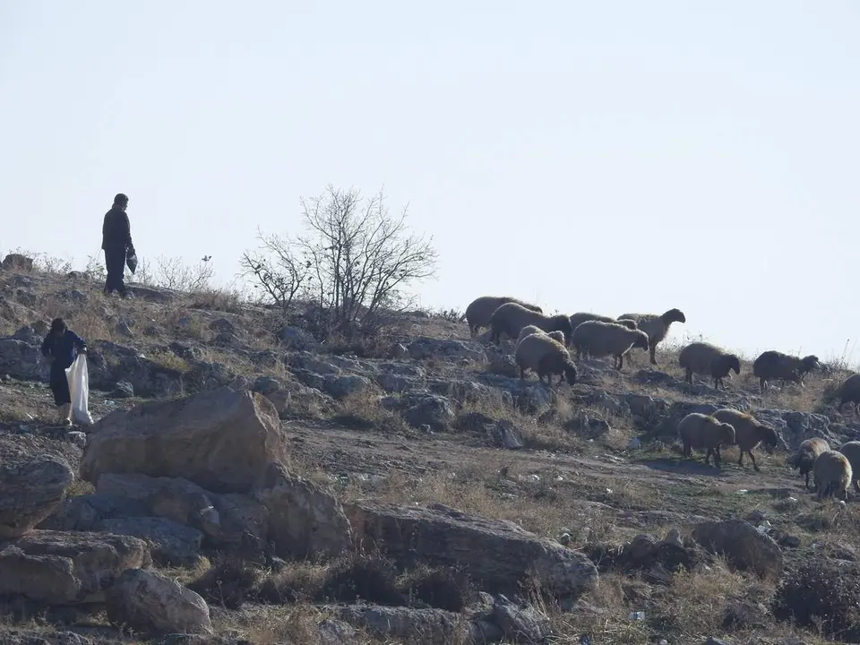 Kurdist&aacute;n iraqu&iacute; (55)