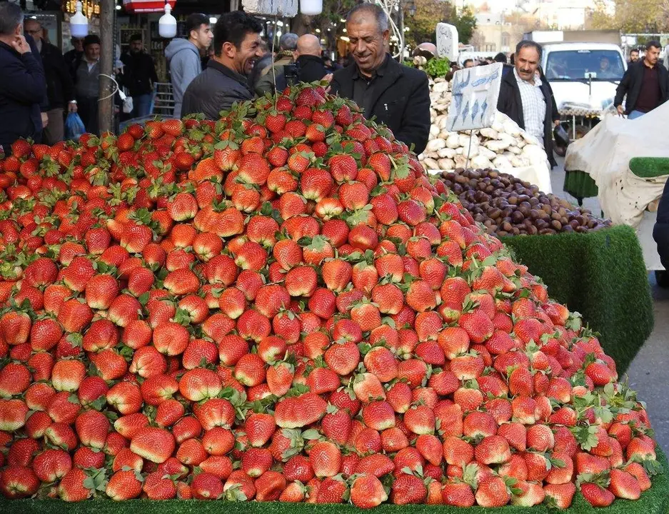 Kurdist&aacute;n de Irak (57)