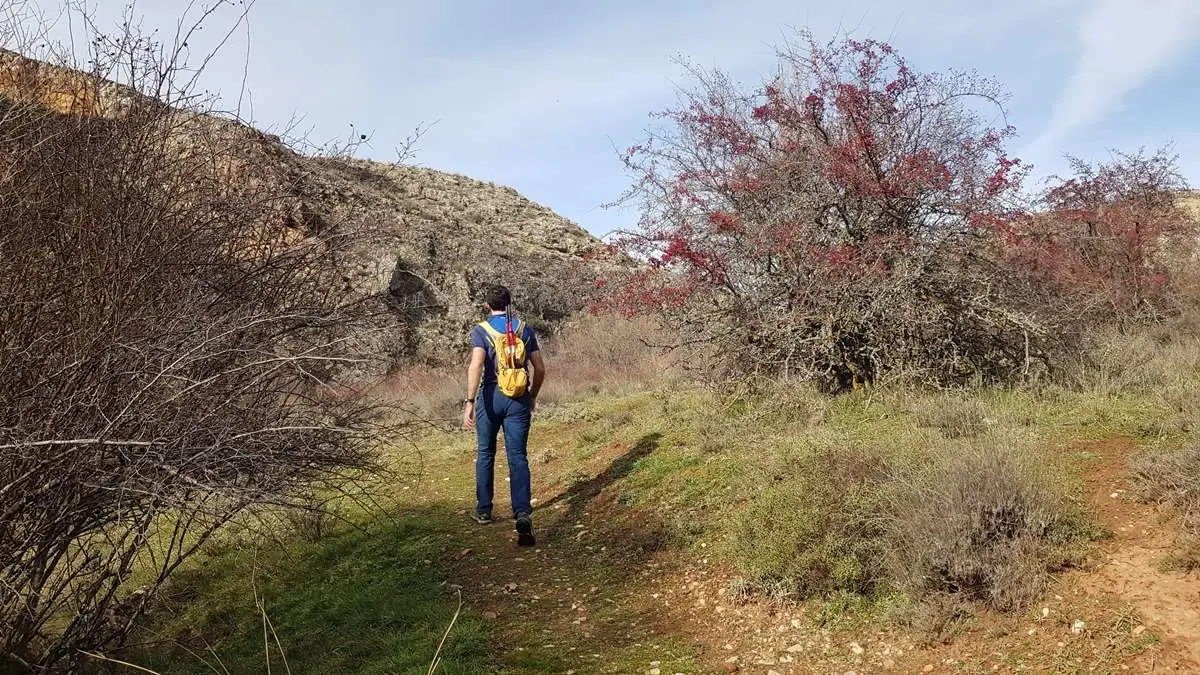 Ca&ntilde;&oacute;n de Caracena y Carrasca de Valderrom&aacute;n (3)