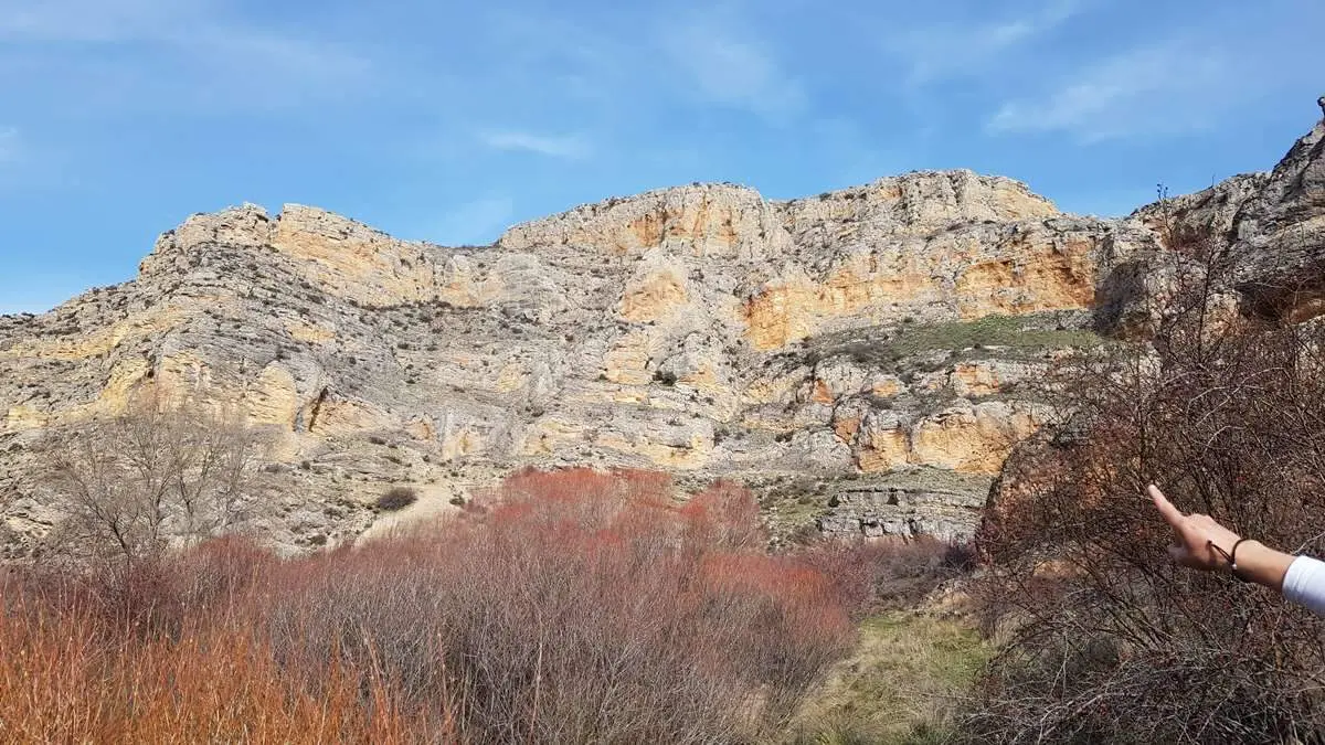 Ca&ntilde;&oacute;n de Caracena y Carrasca de Valderrom&aacute;n (8)
