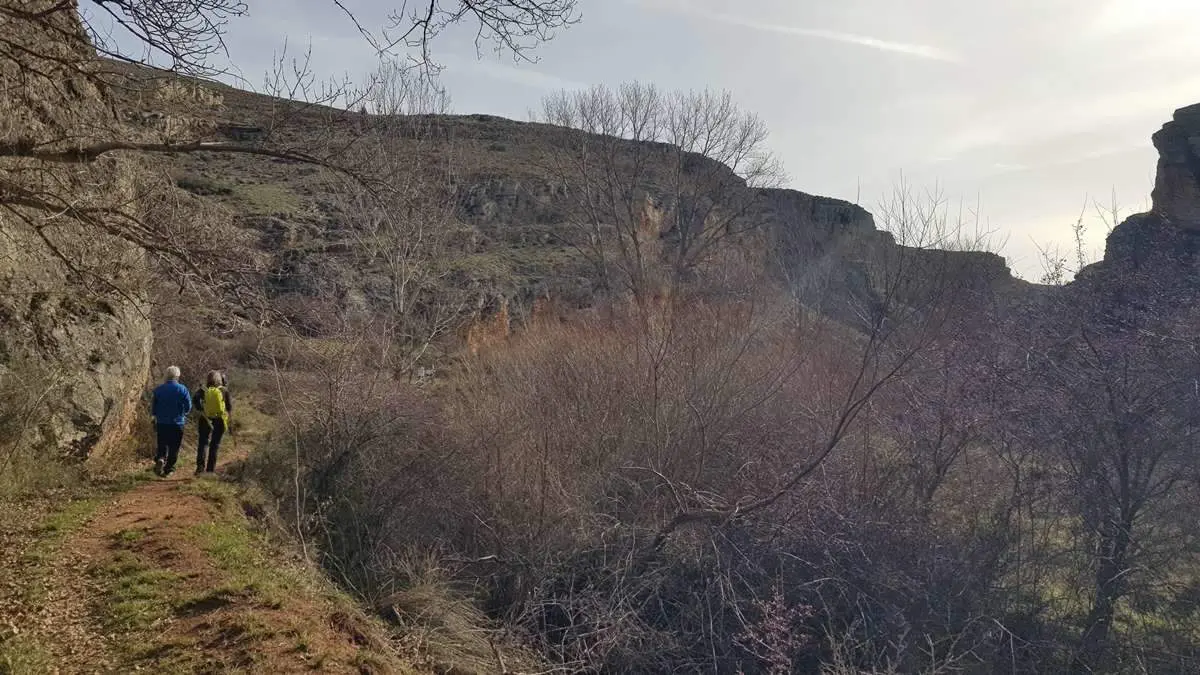 Ca&ntilde;&oacute;n de Caracena y Carrasca de Valderrom&aacute;n (9)
