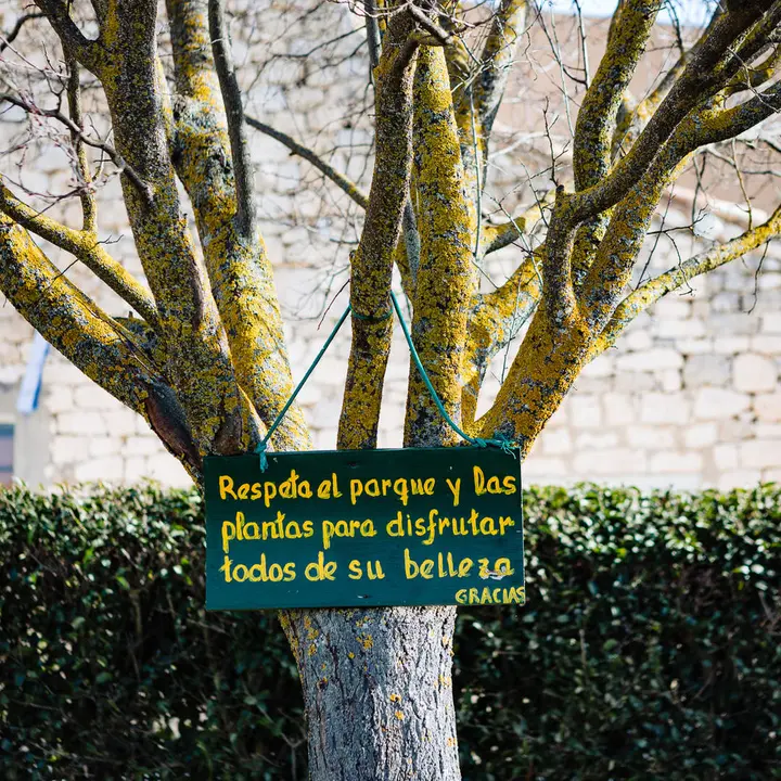 Adradas10