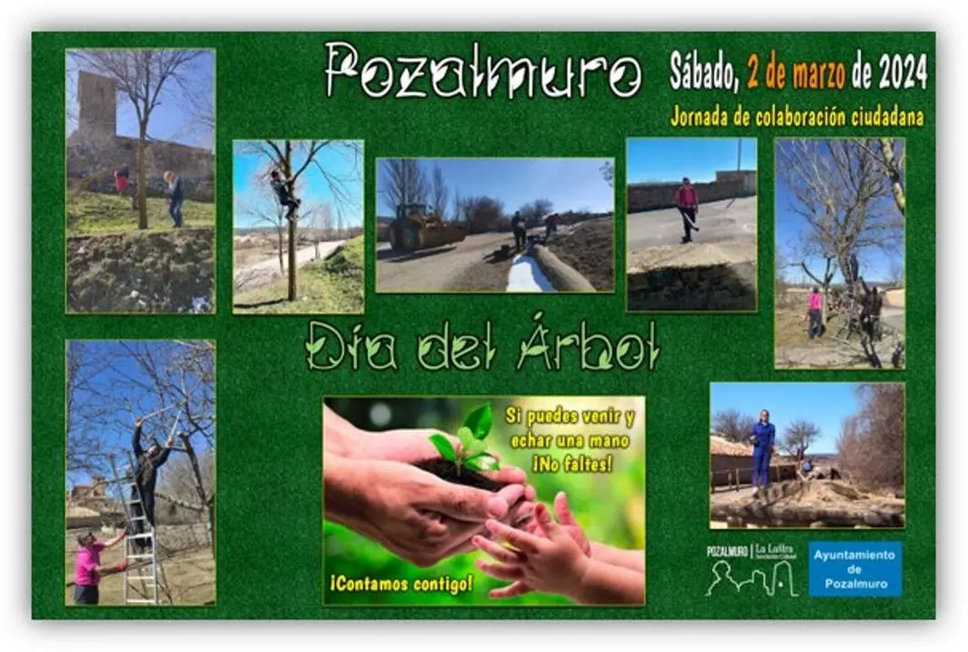 Pozalmuro D&iacute;a del &Aacute;rbol