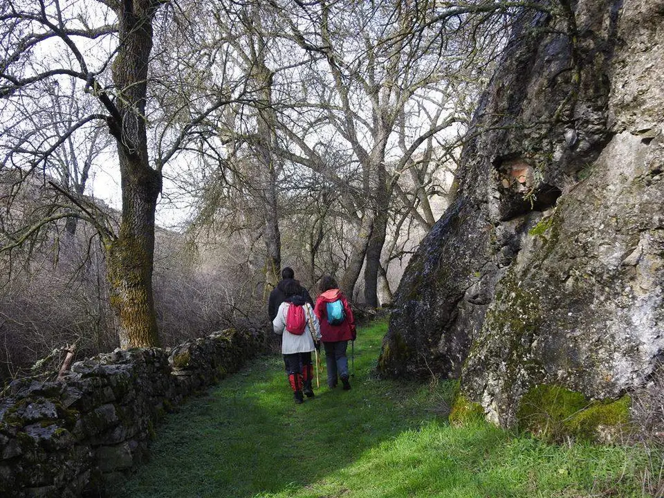 Ca&ntilde;&oacute;n del Talegones entre Torrevicente y Lum&iacute;as (9)