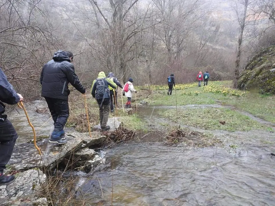 Ca&ntilde;&oacute;n del Talegones entre Torrevicente y Lum&iacute;as (49)