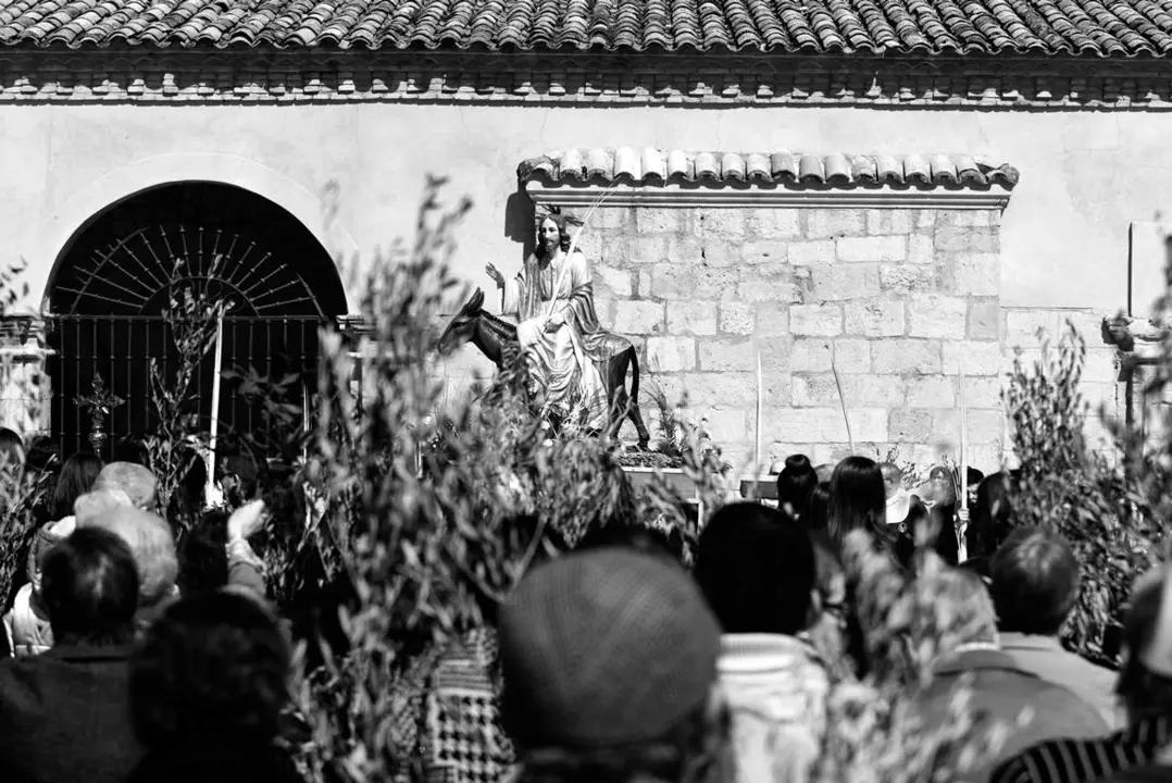 Domingo de Ramos en Almaz&aacute;n11