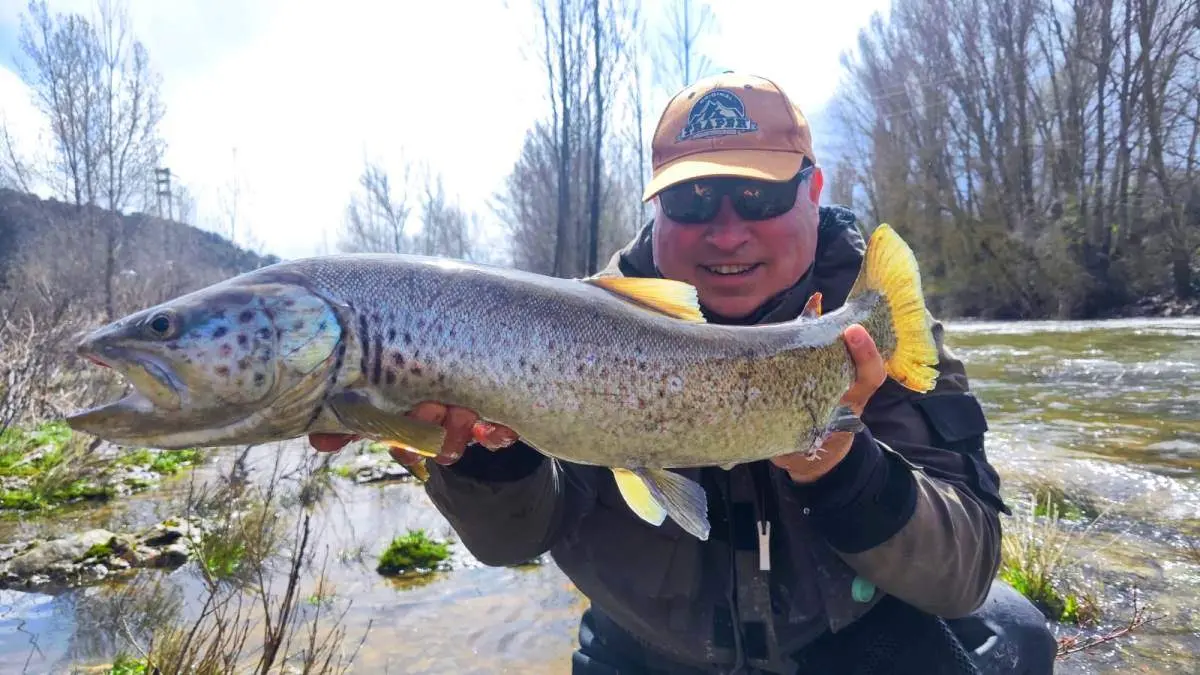 Campano Soriano