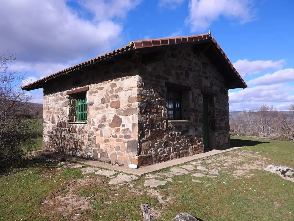 Robles y acebos en la Sierra de Tabanera (9)