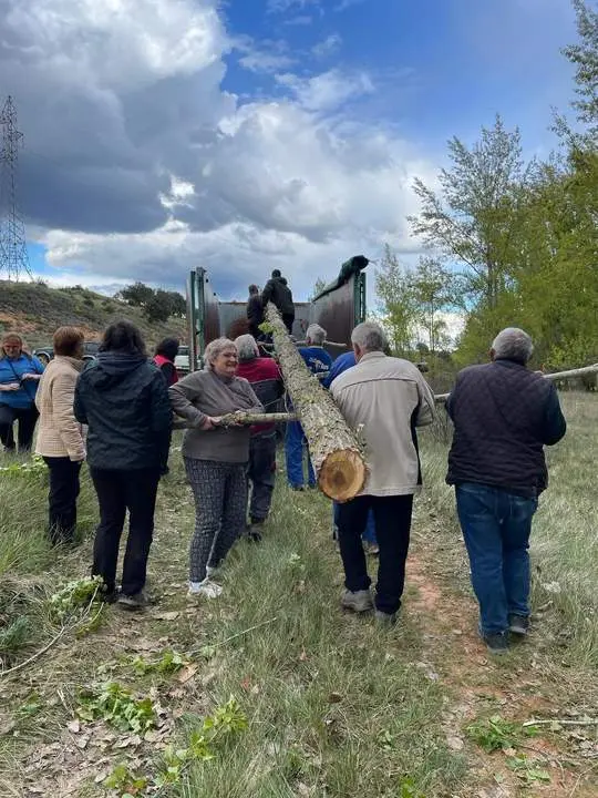 Pingada Mayo Quintanilla de Tres Barrios01