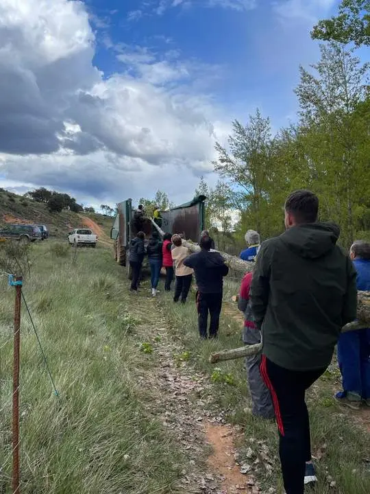 Pingada Mayo Quintanilla de Tres Barrios02