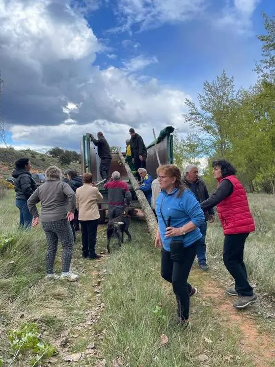 Pingada Mayo Quintanilla de Tres Barrios03
