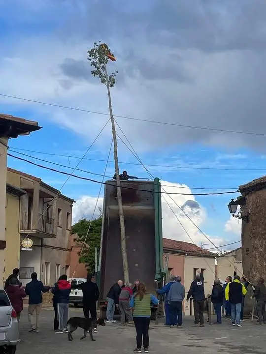 Pingada Mayo Quintanilla de Tres Barrios07