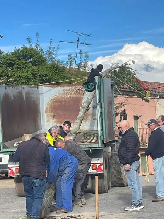 Pingada Mayo Quintanilla de Tres Barrios10