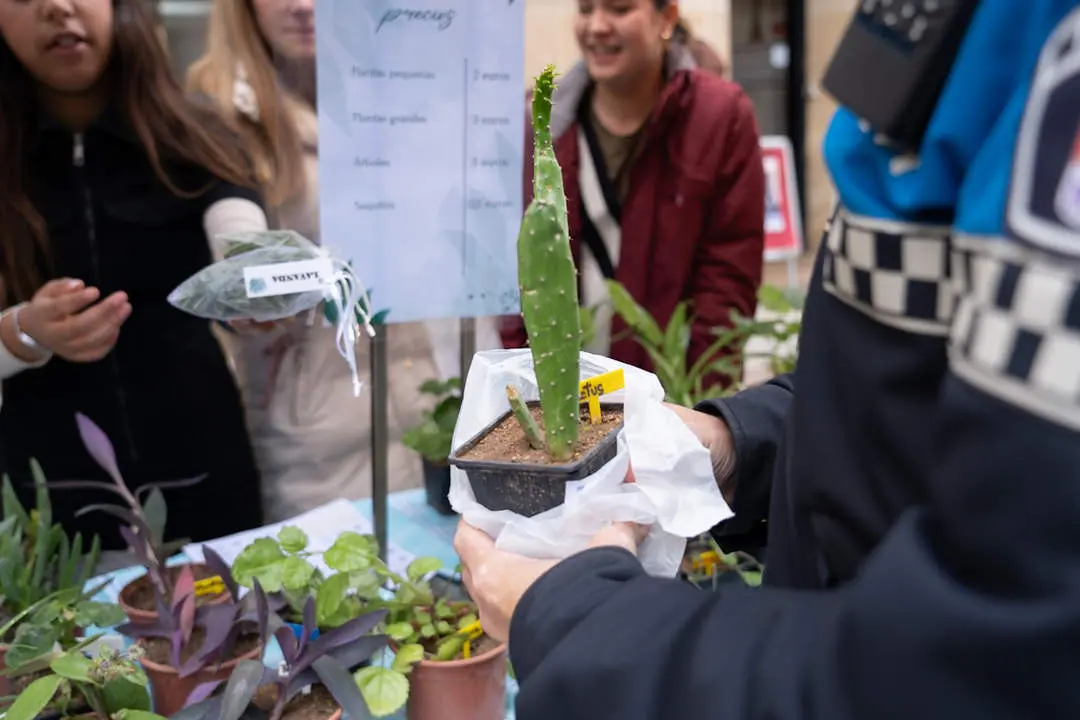 Mercado Emprender en Mi Escuela-11