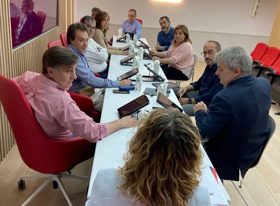 PSOE C&aacute;mara